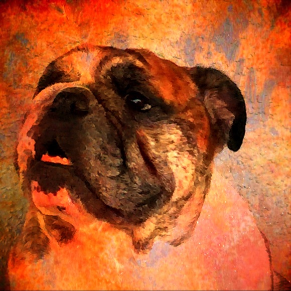 Meet your Posher, Billie - Picture 4 of 7